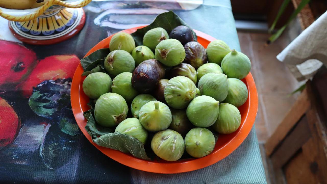 Villa Clara Tordibetto Ngoại thất bức ảnh
